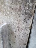 image of grave number 634037